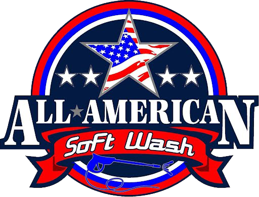 All-American Pressure & Soft Wash logo